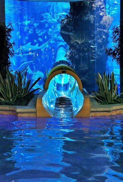 las vegas hotel with water slide through shark tank  Fun-filled and sun-filled, it features a 200,000-gallon shark tank aquarium, a three-story complex, and 17 private cabanas